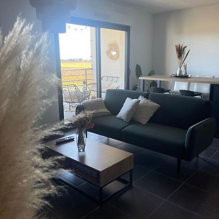 Appartement Vue Vigne Perpignan Bagian luar foto