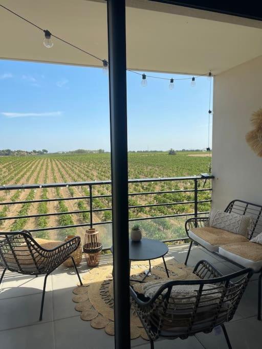 Appartement Vue Vigne Perpignan Bagian luar foto